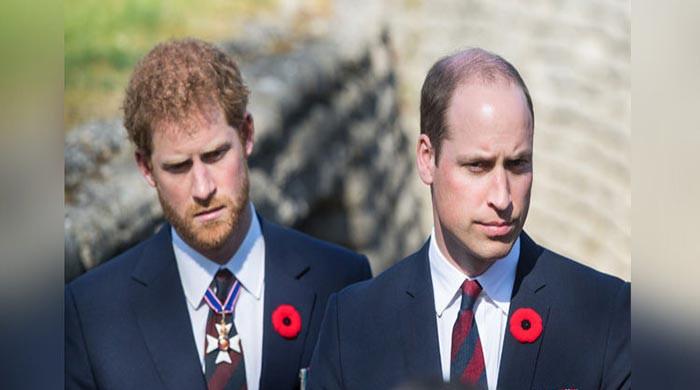 Prince Harry, William in 'unspoken agreement' to remain cordial at key event
