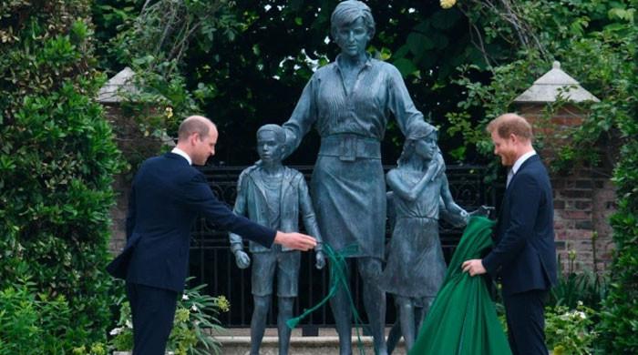 First look at Princess Diana's statue: William and Harry reunite for late mother