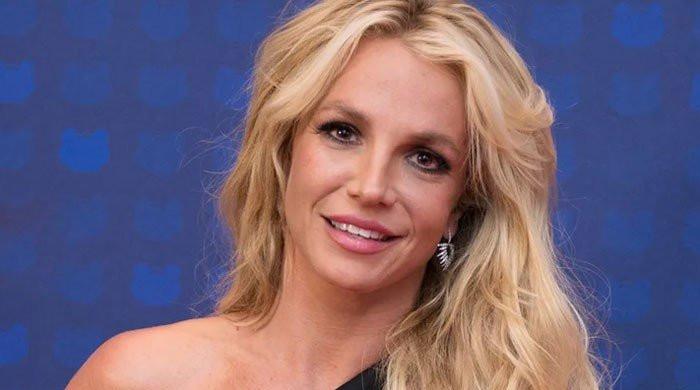 LA court prompted to end remote meeting after Britney Spears hearing leak