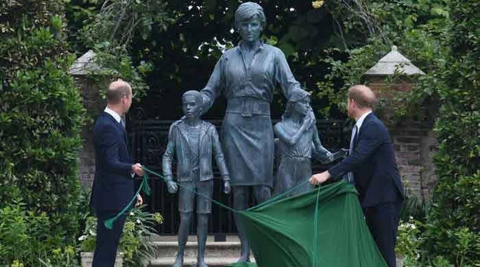 Prince William and Harry's mom Princess Diana's new statue mocked by royal fans