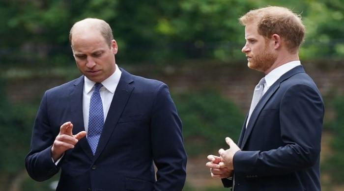 Prince William and Harry's bond 'shattered' beyond repair, pals fear