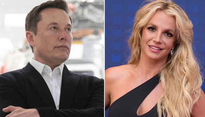 Elon Musk supports #FreeBritney movement on Twitter
