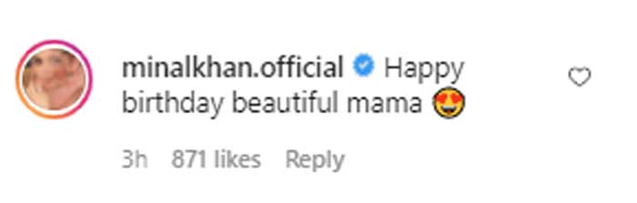 Aiman Khan, Minal send love to Sarah Khan on her 29th birthday