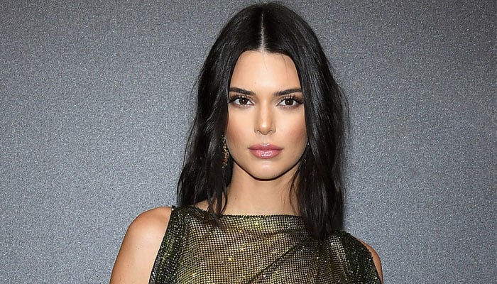 Kendall Jenner wows as she flaunts her long legs in black sheer gown