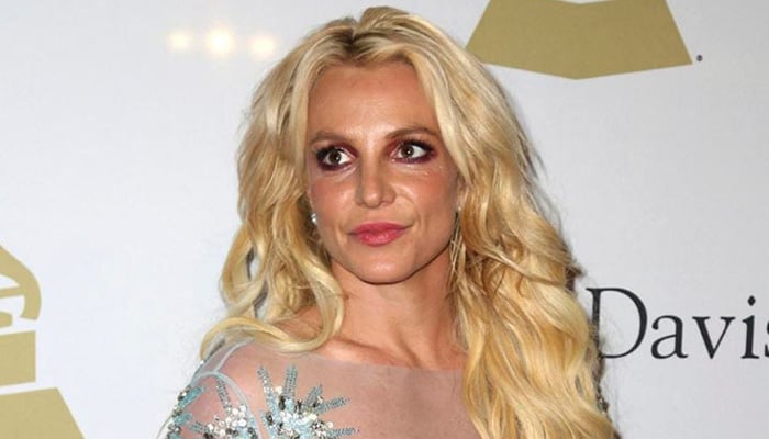 Police visited Britney Spears house for theft
