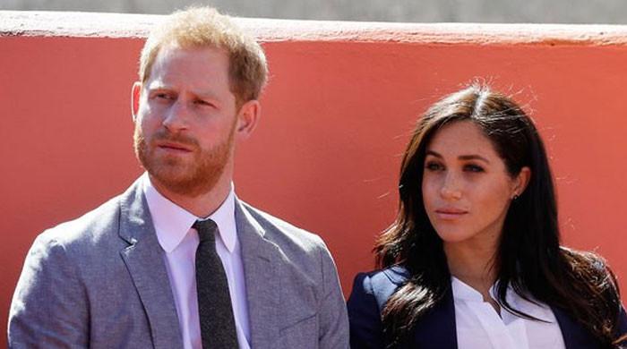 Prince Harry, Meghan Markle's royal plans branded 'absolute rot'