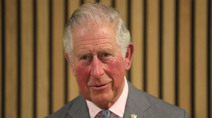 Prince Charles 'in the line of fire' due to Prince Harry's mistakes