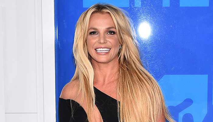 Britney Spears gets her dogs back after dog sitter takes them away over health concern