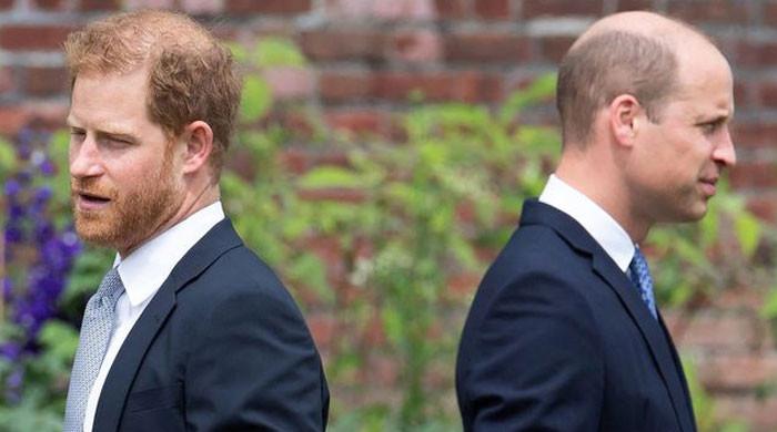 'Resentment has started to dissipate between Prince William and Prince Harry'