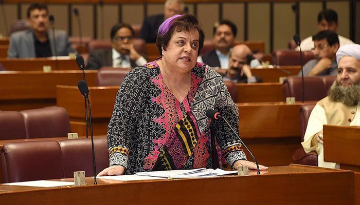 Single men should be denied entrance instead of defining hours for women to visit public places: Shireen Mazari
