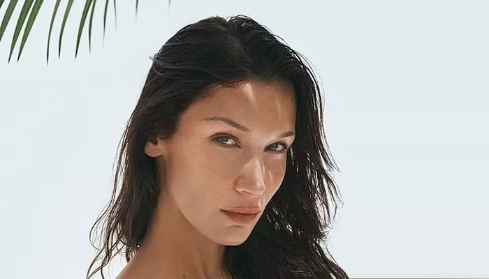 Bella Hadid looks athletic as she showcases her flat abs in black gym wear