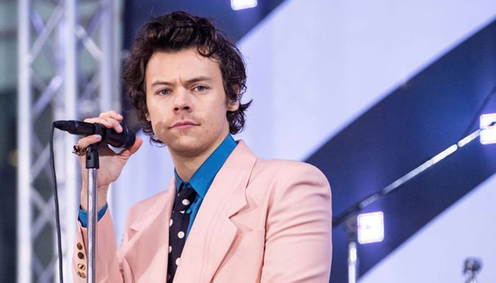 Harry Styles lands role in Marvels The Eternals
