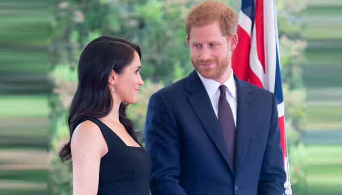 Prince Harry and Meghans fans react to Angelas remarks about Duke and Duchess