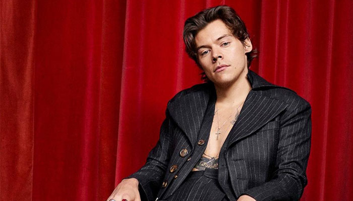 Harry Styles made a surprise appearance as Eros in the post-credit scene of the Chloé Zhao-directorial, Eternals
