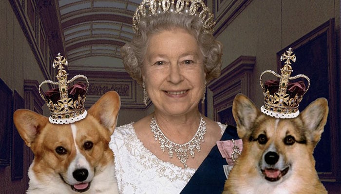 Queen can no longer walk cherished corgis due to frail health