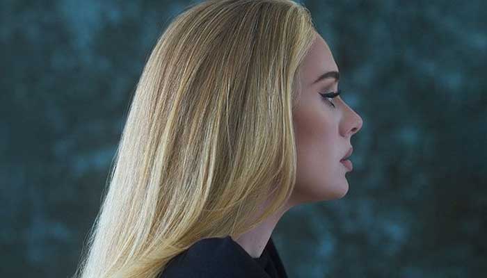 Adele to play two concerts next summer