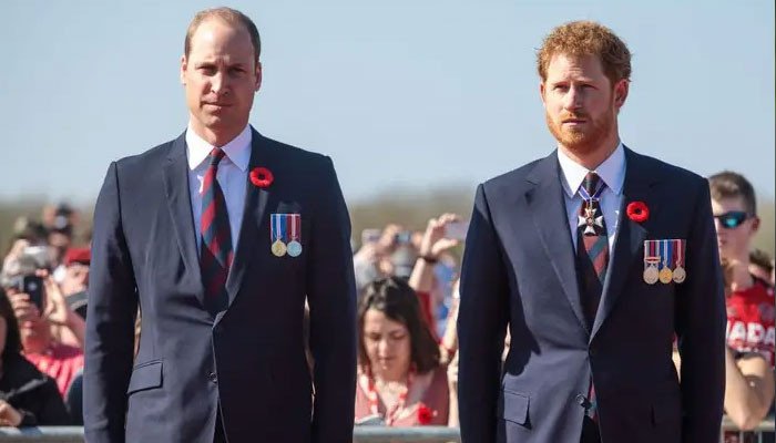 Prince William, Prince Harry feud began prior to Meghan Markle