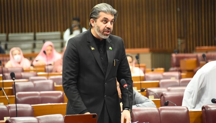 Minister of State for Parliamentary Affairs Ali Muhammad Khan. — Twitter/NA of Pakistan