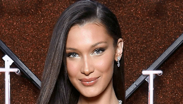 Bella Hadid shows off her incredible physique in sizzling outfit