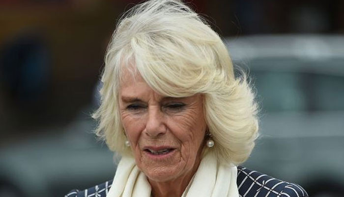 Camilla ‘benar-benar frustrasi’ dengan mitos palsu seputar Pangeran Charles: lapor