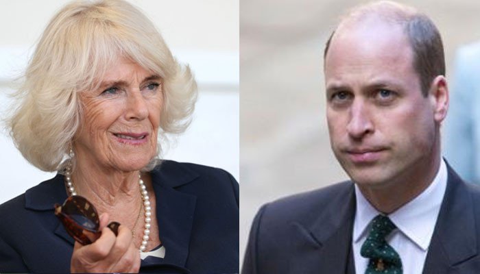 Pangeran William akan bertengkar hebat setelah Camilla menikahi Pangeran Charles