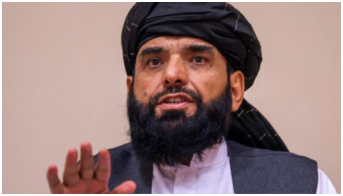 Afghanistan akan bersaing untuk menjadi setara dengan yang lain: juru bicara Taliban Suhail Shaheen