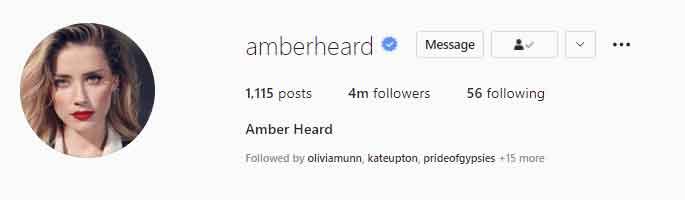 Aquaman actress Amber Heard hits 4 million followers on Instagram