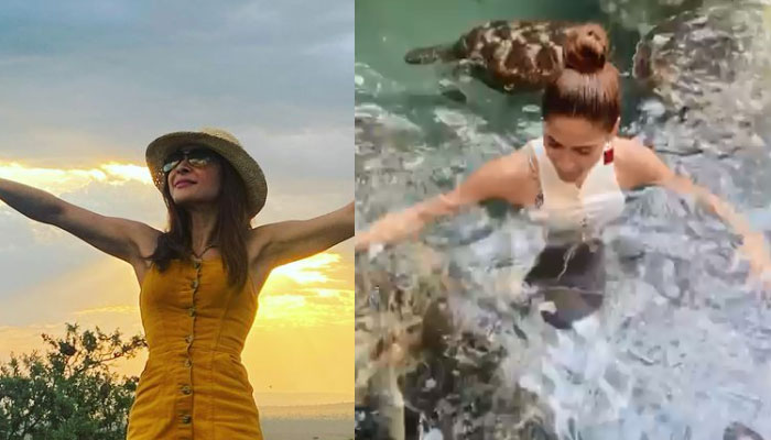 Ayesha Omar grabs lunch with turtles in Tanzania: Watch Video
