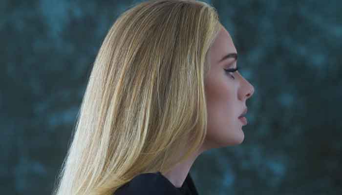 Adele angered by TV presenter Matt Doran: Network suspends him