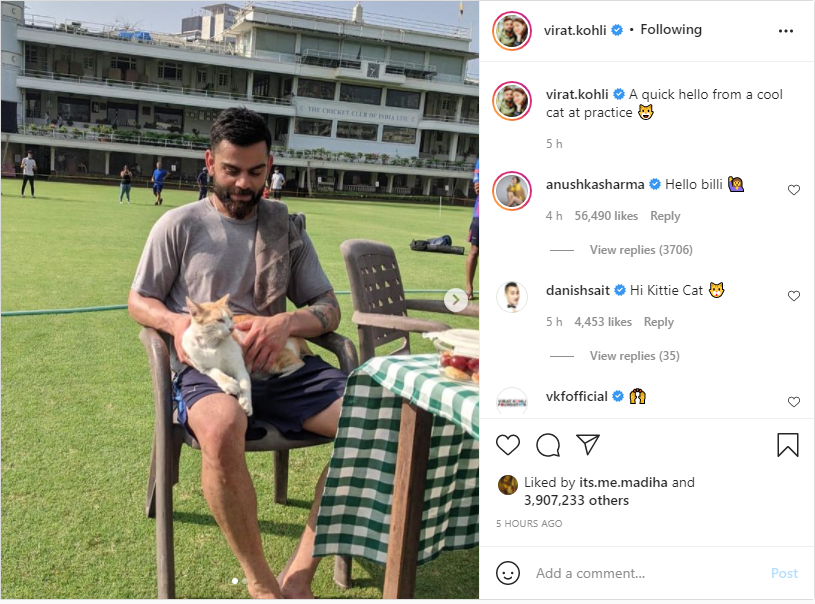 Virat Kohli poses with a ‘cool’ cat during practice, Anushka Sharma reacts