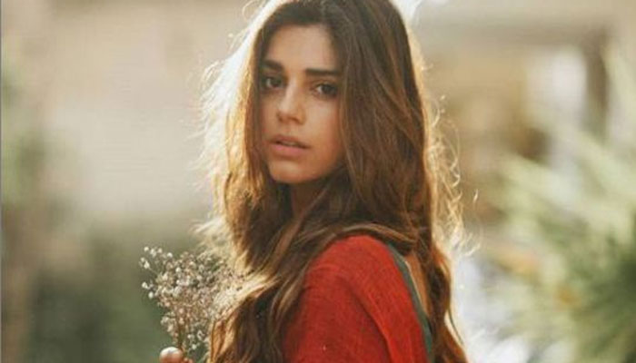 Sanam Saeed only wants to work in Indian movies, not television