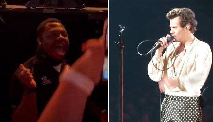 Harry Styles fans rejoice as security guard joins in on concert fun at Love on Tour