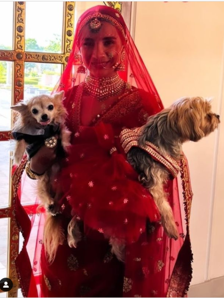 Twining alert! Patralekhaa got matching outfits for her furry friends on her wedding
