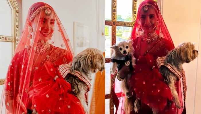Twining alert! Patralekhaa got matching outfits for her furry friends on her wedding