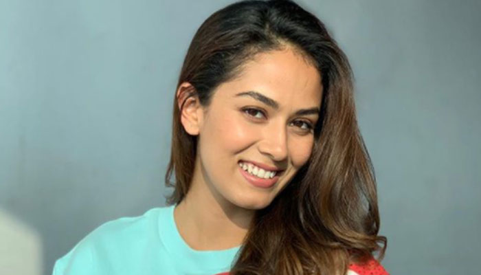 Mira Rajput channels positivity in her recent post, Shahid Kapoor reacts
