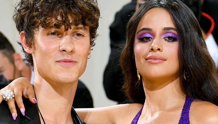 What has caused Camila Cabello-Shawn Mendes breakup?
