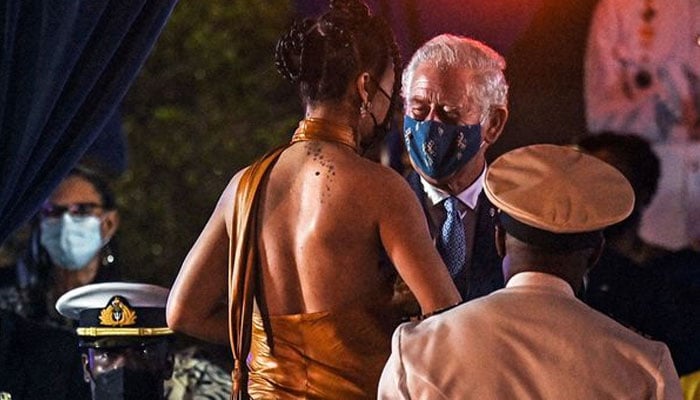 Rihanna meets Prince Charles after being declared Barbados National Hero