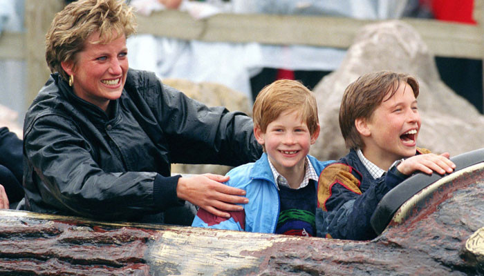 Prince William, Harry denied grief counseling chances after Princess Diana passed: report
