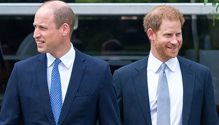 Prince William, Prince Harry agreed to set tensions aside for ‘very good PR move’