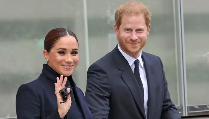 Netflix making mini-series on Prince Harry and Meghan Markles romance, claims royal expert