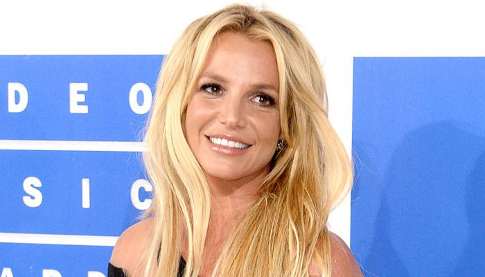 Britney Spears 'finally feels like she has a purpose' after conservatorship: source