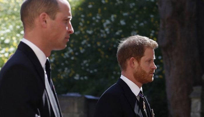 Prince William ‘shielded’ Prince Harry from the ‘unhappiness’ of Diana’s life: report
