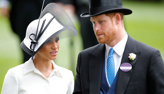 Prince Harry, Meghan Markle ‘infuriating the public’ with ‘hefty’ protection costs