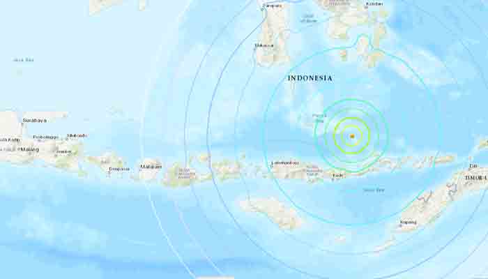 According to USGS, the quake struck around 100 kilometres north of the town of Maumere at a depth of 18.5 kilometres (11 miles) in the Flores Sea at 0320 GMT.
