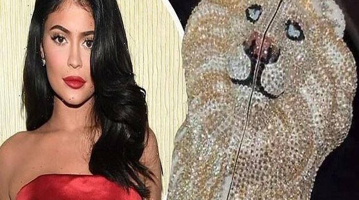 Kylie Jenner breaks her Instagram hiatus by flashing a dazzling $6,000 Judith  Leiber clutch - Luxurylaunches