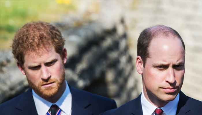 Pangeran Harry, Ketegangan Hubungan Pangeran William Terlihat Melalui Bahasa Tubuh