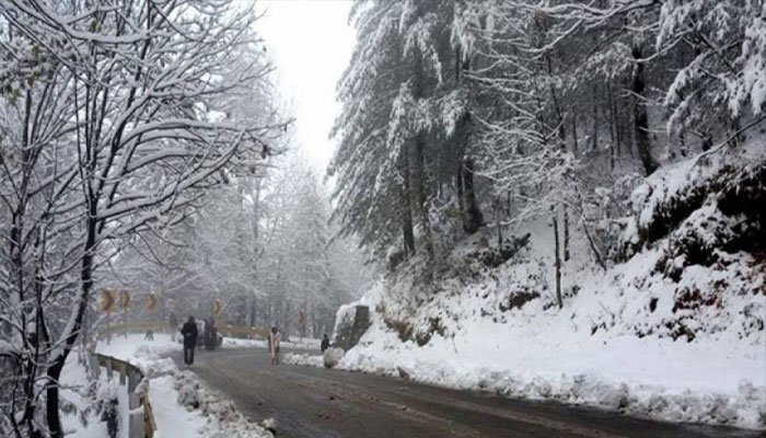 A road between snow-covered trees and hills in Murree. Photo: Geo.tv/file