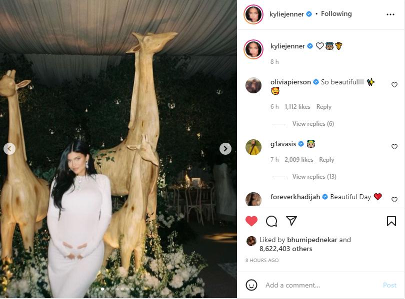 Inside Kylie Jenner’s over-the-top giraffe-themed baby shower event
