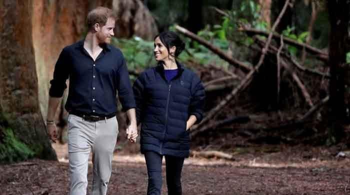 Thousands of dollars being made online by targeting Meghan and Harry: report