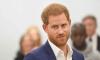 Prince Harry plans to tap into UK intelligence?